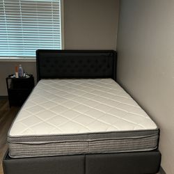 Queen Size Bedframe