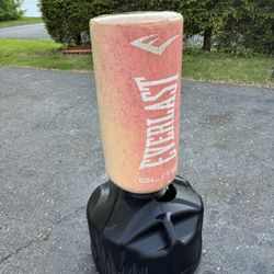 Everlast Boxing Bag 
