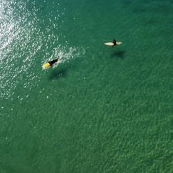 Surfboard Funboard Longboard Surfboards For Sale