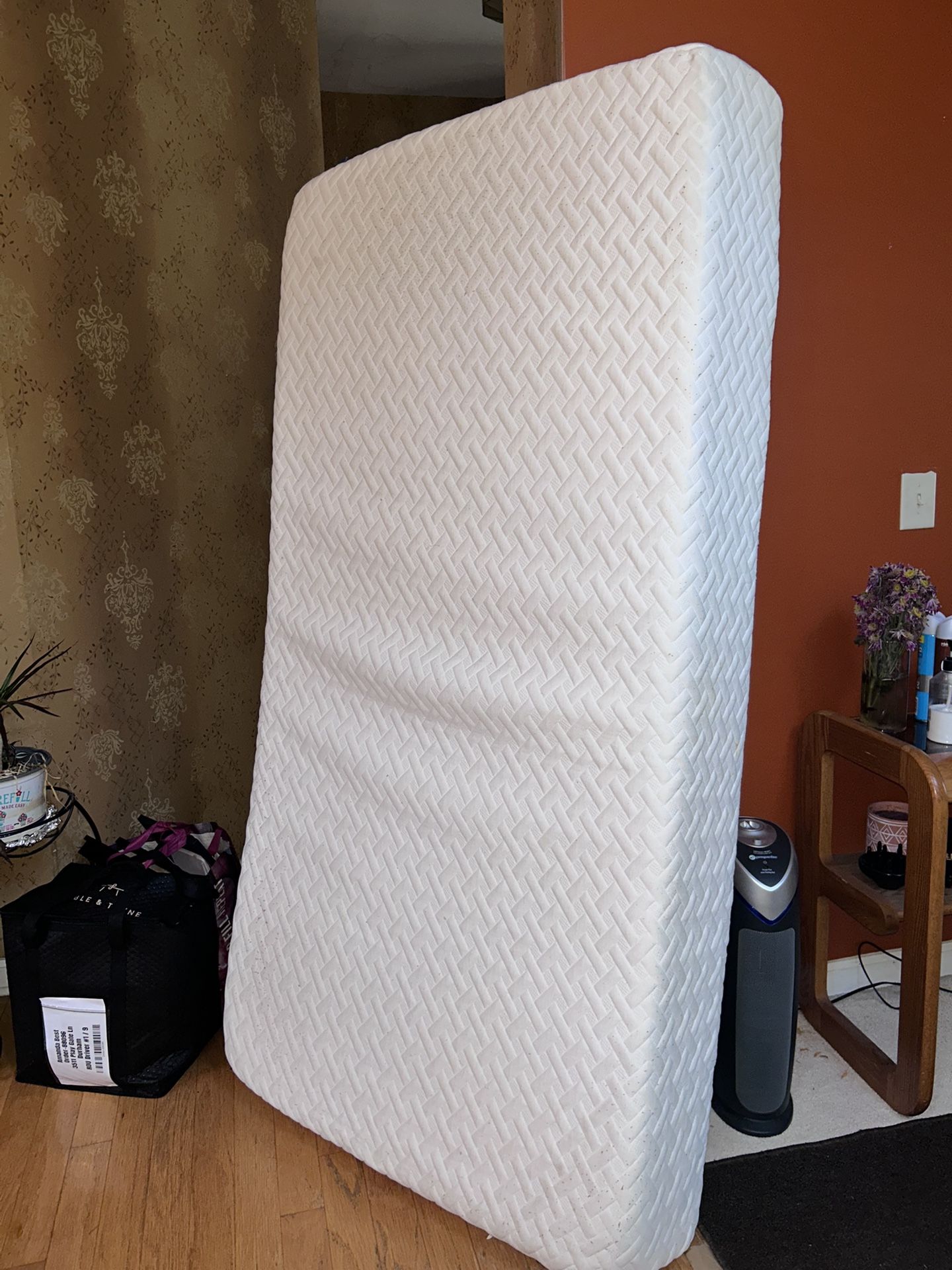 Twin Mattress + Bed Frame 