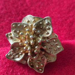 Anillo   Joya  Fina  bañado en oro