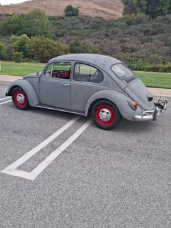 Vw bug  67