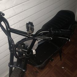 Caroma E-bike (Read Description) 