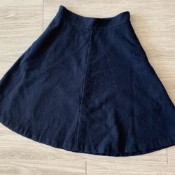 Ann Taylor Wool Skirt Size 00