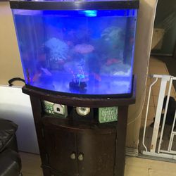 35 Gallon Fish Tank 