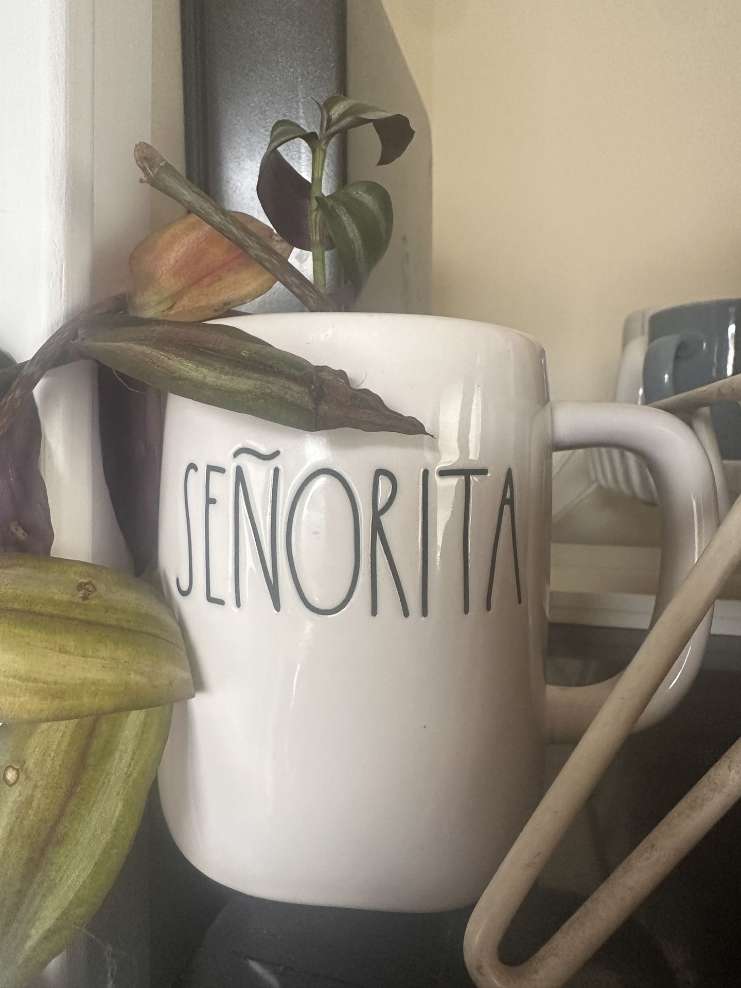 Rae Dunn Señorita Mug