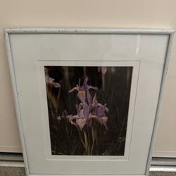 ~~ BEAUTIFUL IRIS PRINT BY DON SMITH 1997 ~~ ATTRACTIVELY FRAMED IN WHITE H 15 W 13