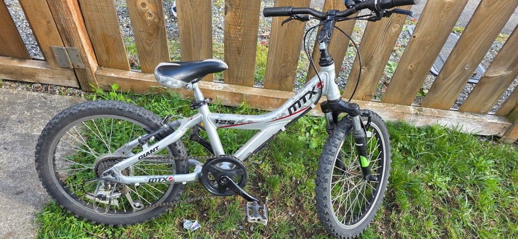 Bike By Giant MTX 125 (Kids)