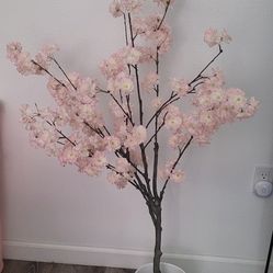 Cherry Blossom Tree