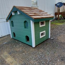 Nice   Cat House 