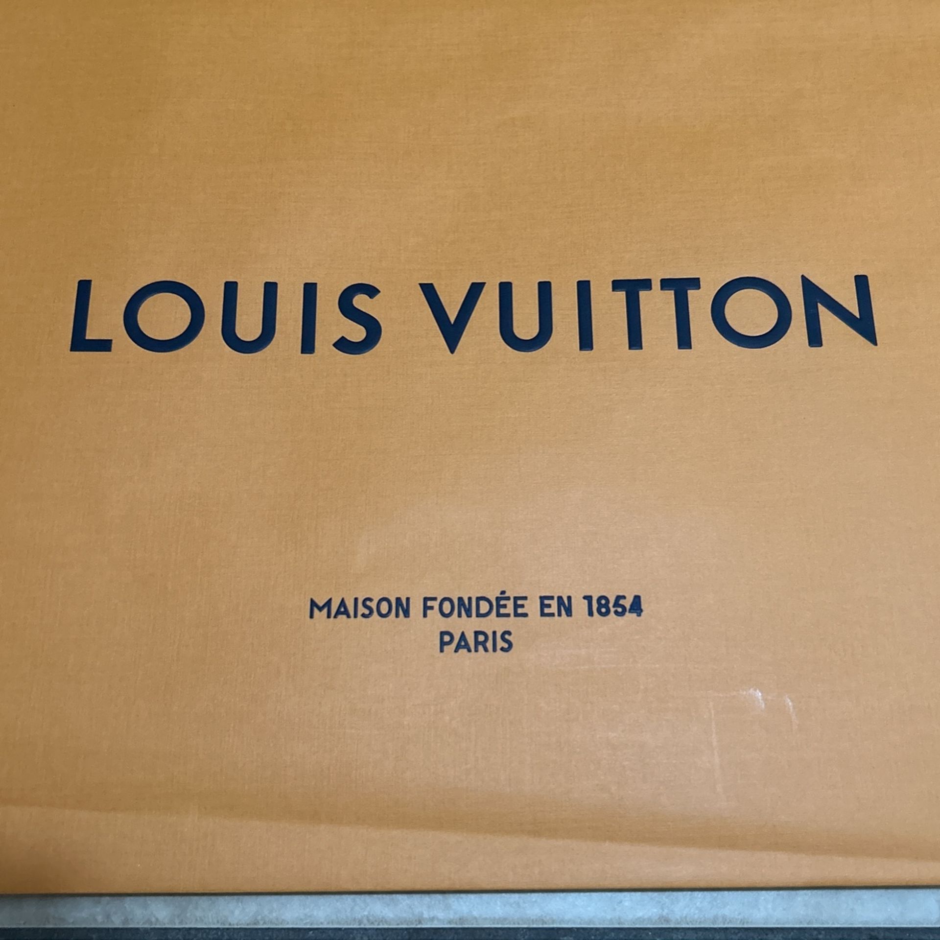 Louis Vuitton Bag