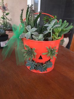 Beautiful arrangement