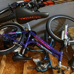 Schwinn Mountain Bike