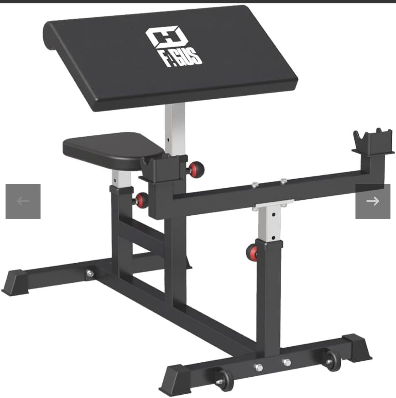 FAGUS Preacher Curl