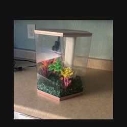 3 Gallon Fish Tank 