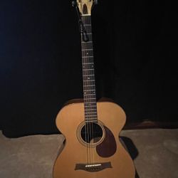 Custom Built Mills Guitar