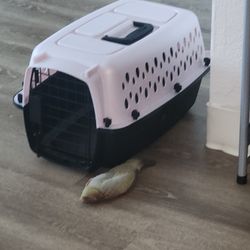 Cat Carrier For Small Cats