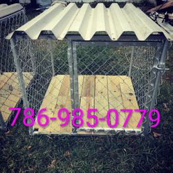 Dog Kennels Florida 🐕