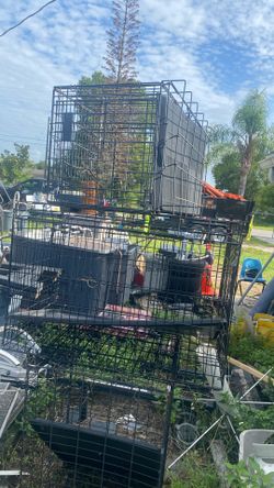 Dog cages, large and small