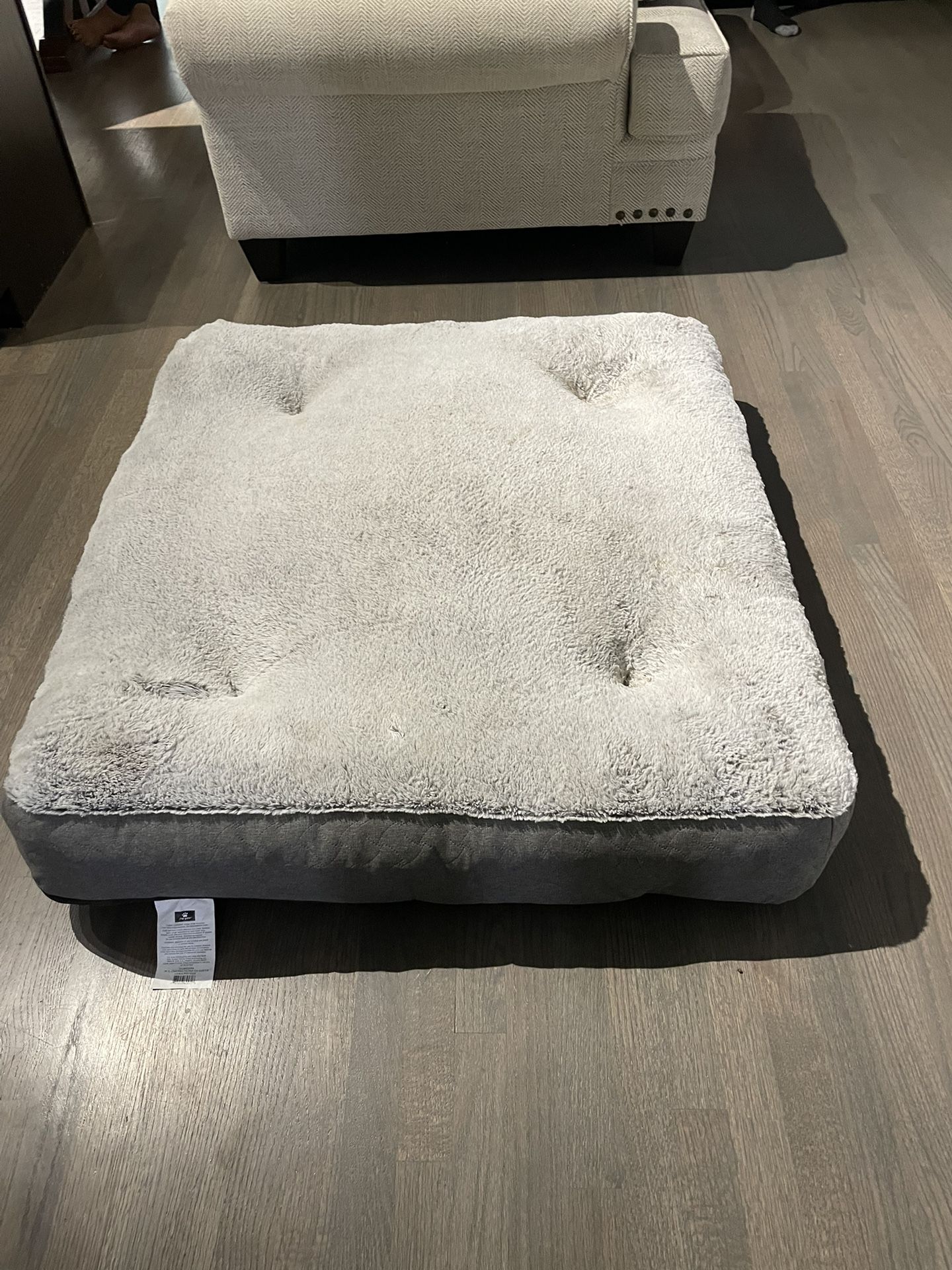 dog beds $20