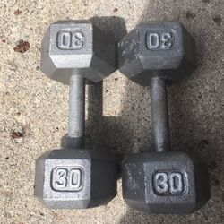 30 Lb Dumbbells 