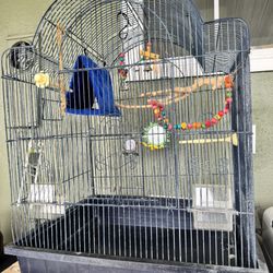 Bird Cage