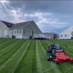 Grass Cutting 