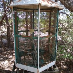 5 Sided Parrot Cage. 6 Ft Tall.