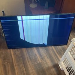 Vizio 50 Inch Tv Model V505-J09 For Parts