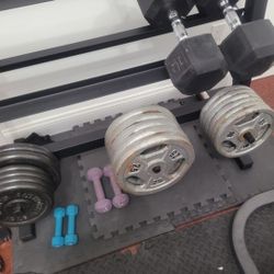 Weight Plate/ Barbell Weights 