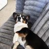 Sam