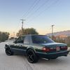 Mullet231