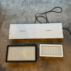 Grow lights / LED lights 🎄 Indoor Growing