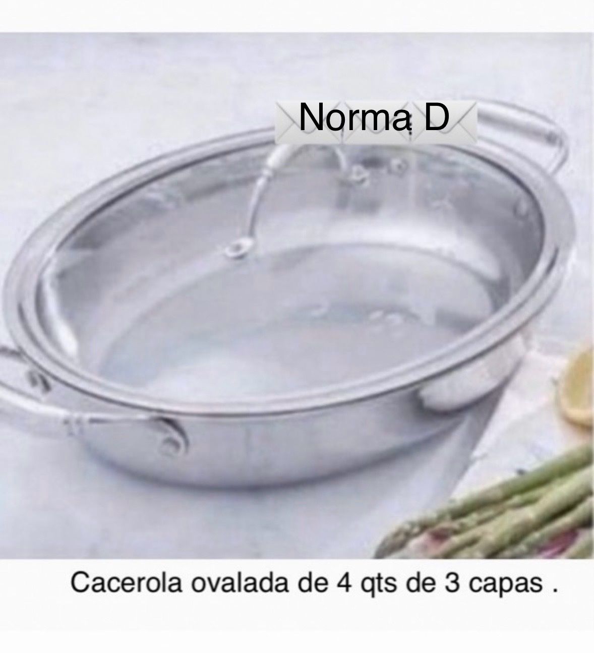 Cacerola Ovalada De 4 Qts Nueva En Su Caja ๐บ Princess House. ๐บ