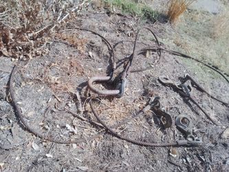 Crosby 4 way -3/4 cable -12 ' long rigging . Great condition