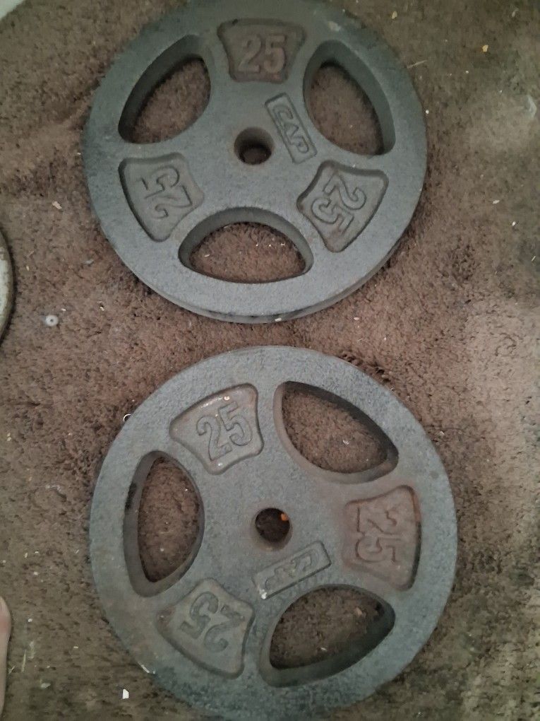 2 45 Pound Weights