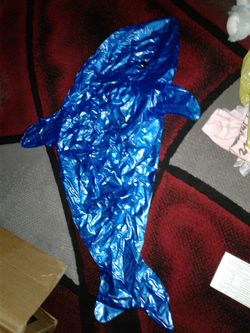 blow up dolphin