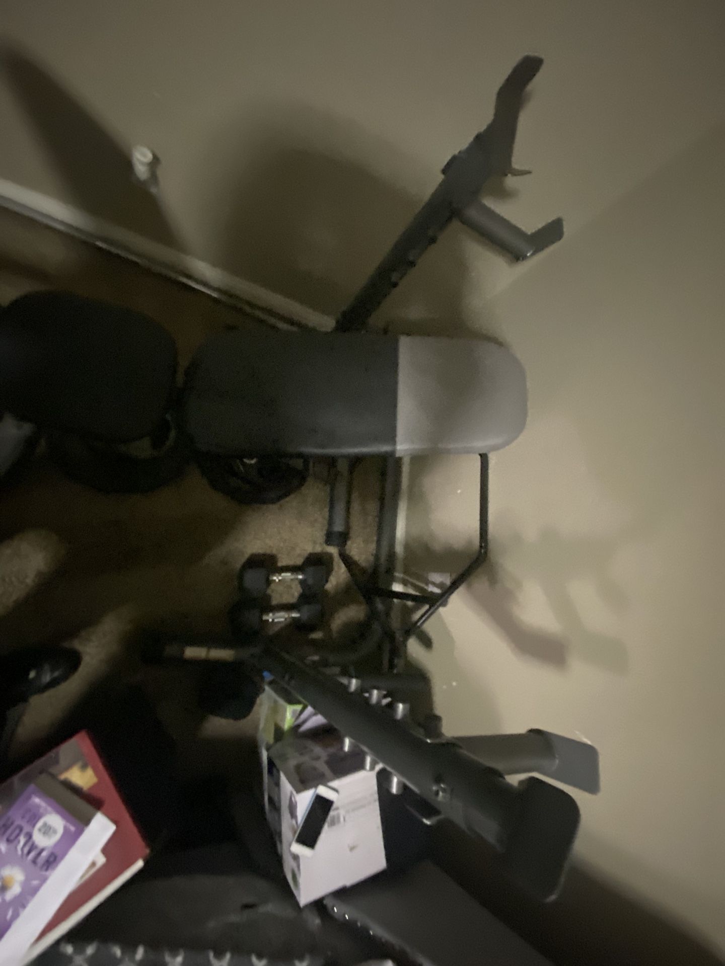 Everlast Workout Bench Press Set