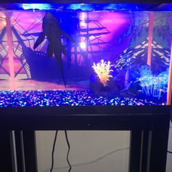 10 Gallon Fish Tank