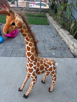 Medium sized giraffe