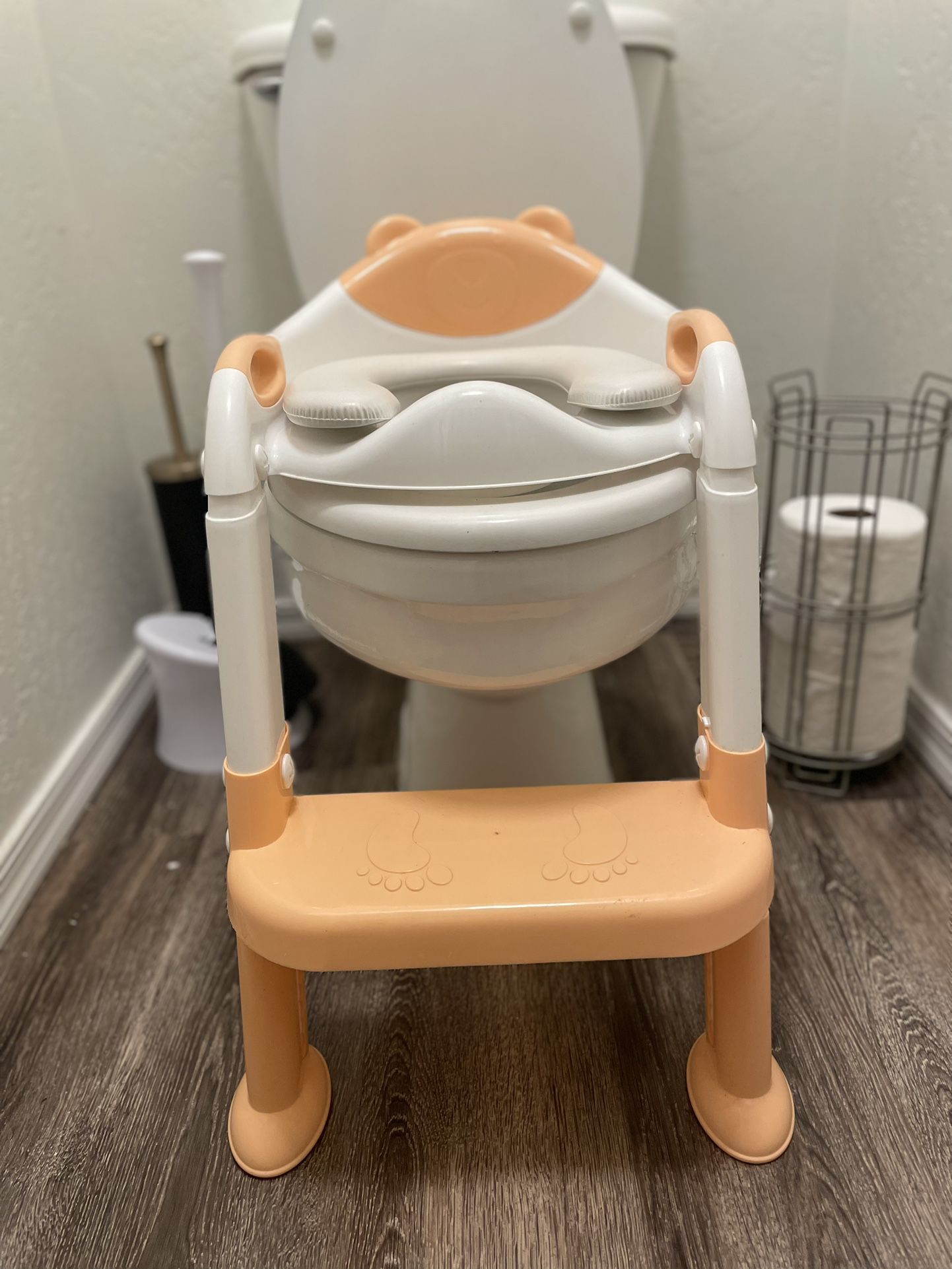 Potty training seat with ladder
