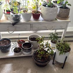 Console Table (plants No Included)