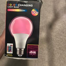 Color Changing Light Bulb 