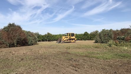 Rector’s Dozer work