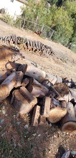 Fire Wood- $20 for Car Load. $40 For Truck Load