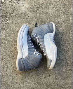 Jordan 12 stealth