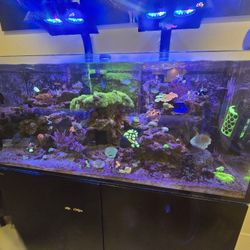 REDSEA REEFER 350 COMPLETE 