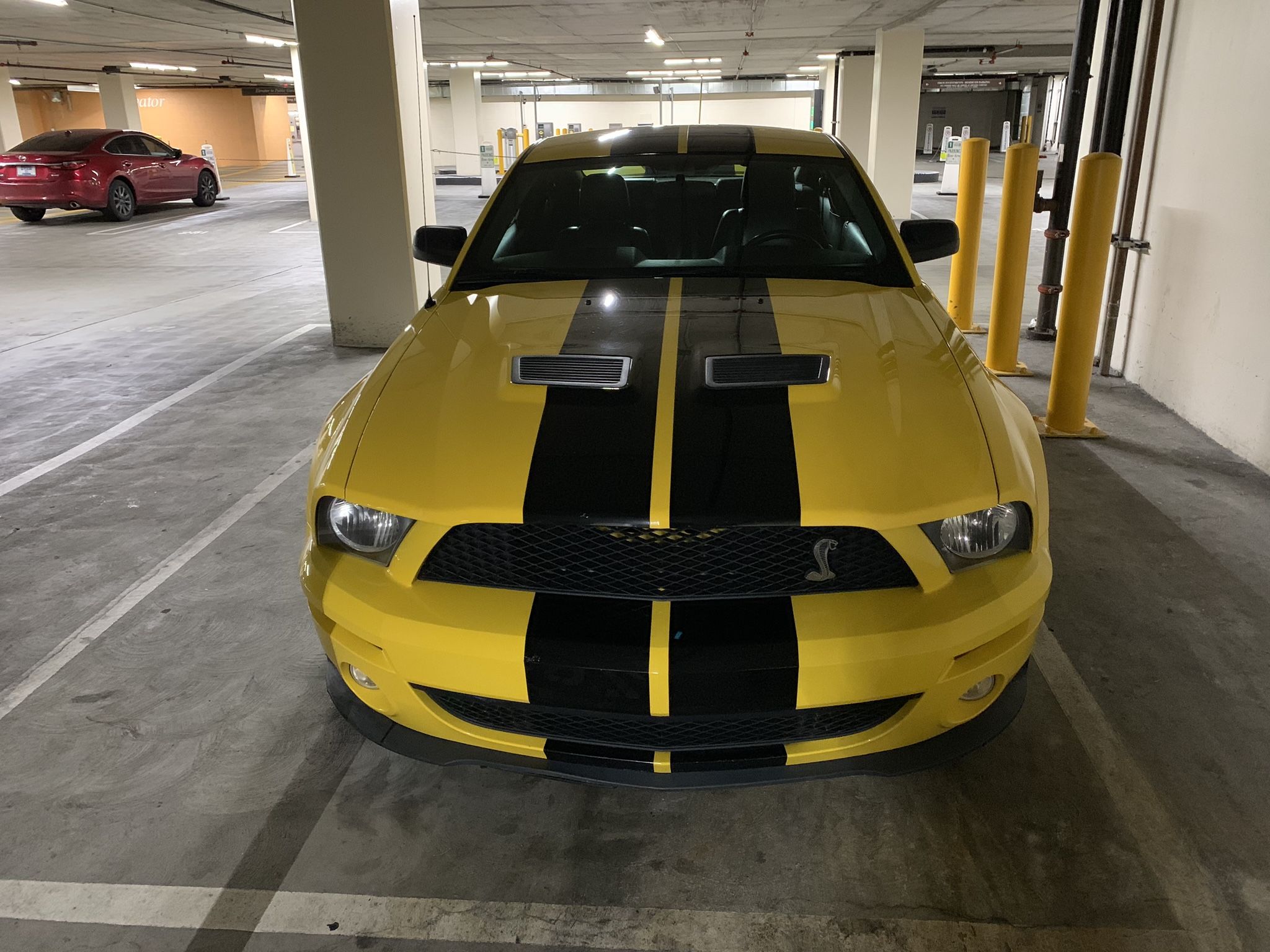 2007 Ford Shelby Gt500