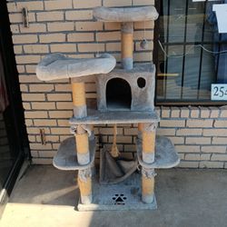 Cat Post 