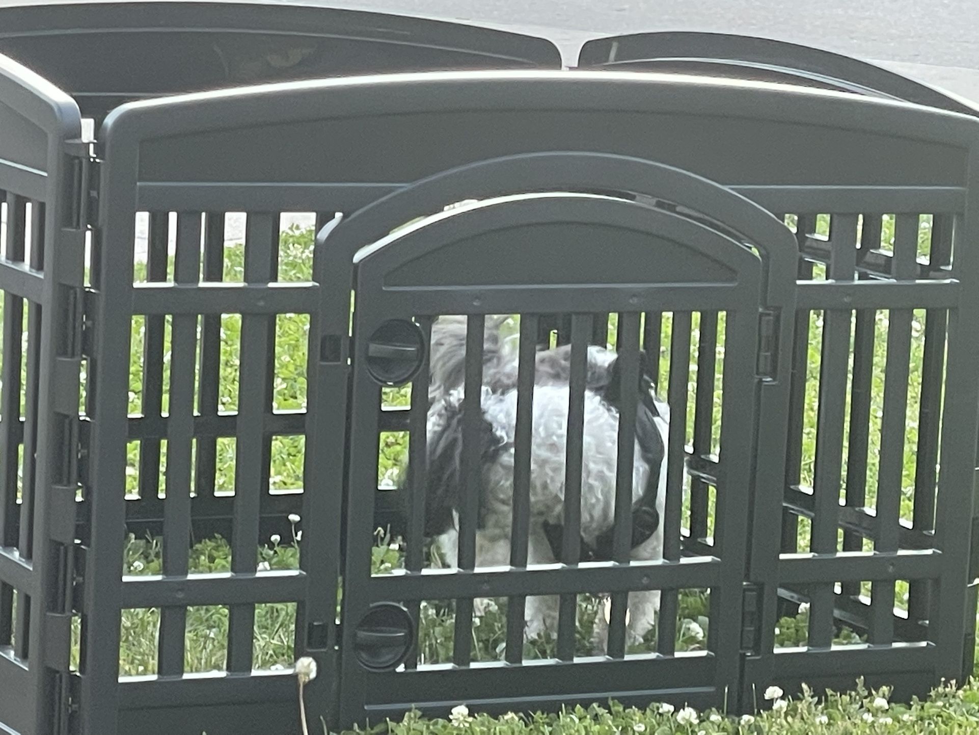 Dog Playpen